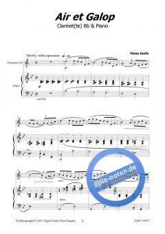 Air et Galop von Hans Aerts 