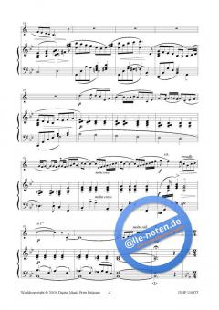 Air et Galop von Hans Aerts 