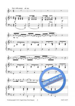 Air et Galop von Hans Aerts 