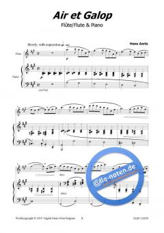 Air et Galop von Hans Aerts 