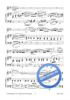 Air et Galop von Hans Aerts 