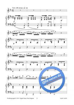 Air et Galop von Hans Aerts 