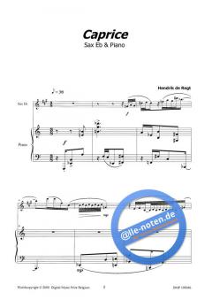 Caprice von Hendrik de Regt 