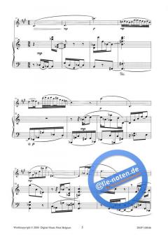 Caprice von Hendrik de Regt 