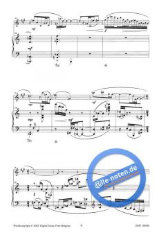 Caprice von Hendrik de Regt 