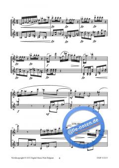 Divertimento von Hendrik de Regt 