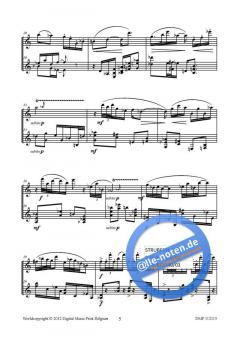 Divertimento von Hendrik de Regt 