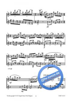 Divertimento von Hendrik de Regt 