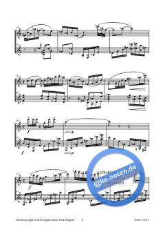 Divertimento von Hendrik de Regt 