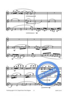 Divertimento von Hendrik de Regt für Holzbläser Trio im Alle Noten Shop kaufen