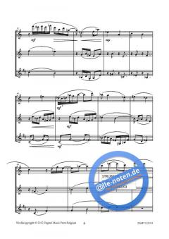 Divertimento von Hendrik de Regt für Holzbläser Trio im Alle Noten Shop kaufen