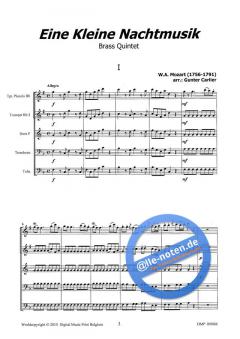 Einen Kleine Nachtmusik (Wolfgang Amadeus Mozart) 