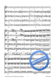 Einen Kleine Nachtmusik (Wolfgang Amadeus Mozart) 