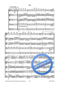 Einen Kleine Nachtmusik (Wolfgang Amadeus Mozart) 