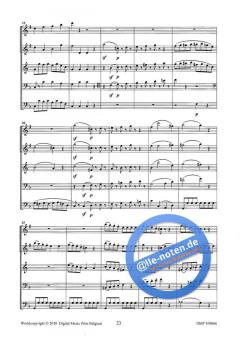 Einen Kleine Nachtmusik (Wolfgang Amadeus Mozart) 