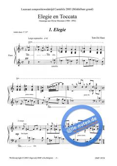 Elegie & Toccata/De Pestkop von Tom de Haes 