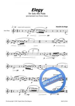 Elegy von Hendrik de Regt 