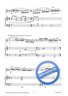 Fantasia Piccola von Hendrik de Regt 