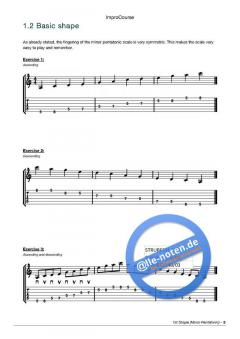 Impro Course (engl.) von Tim van Roy 