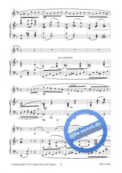 Jardins d'été von Hans Aerts 