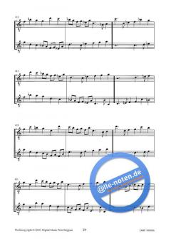 Partita V 'Euterpe' (Hendrik de Regt) 