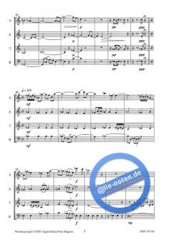 Pyriet von Annette Kruisbrink 