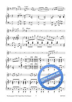 Solo de concours bref von Willy van Dorsselaer 