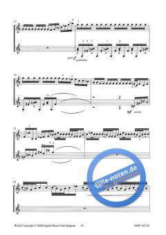 The Japanese stonecutter von Annette Kruisbrink 