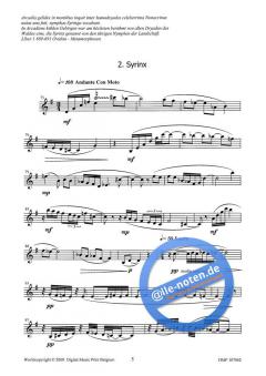 Three Impressions (C.I.) von Hendrik de Regt 