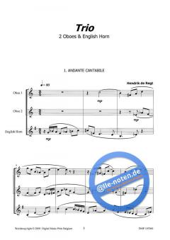 Trio von Hendrik de Regt 