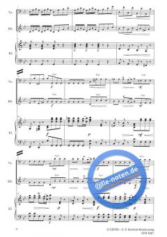 Konzert g-Moll RV 531 (PV 411) (Antonio Vivaldi) 