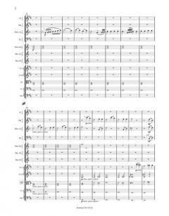 Serenade Nr. 1 D-dur op. 11 von Johannes Brahms 