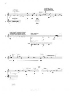 Inflexionen von Ruth Wiesenfeld für Flöte solo im Alle Noten Shop kaufen (Partitur)