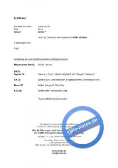 Die Hexe von Endor (Axel Ruoff) 