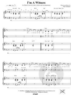 I'm A Witness (Niko Schlenker) 