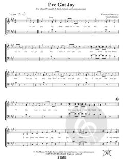 I've Got Joy (Niko Schlenker) 