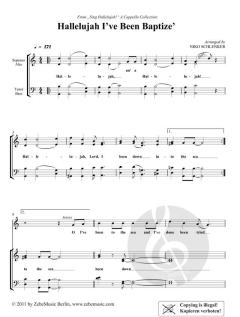 Hallelujah, I've Been Baptize' (Niko Schlenker) 