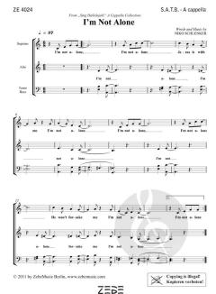 I'm Not Alone (Niko Schlenker) 