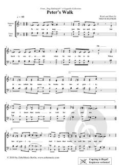 Peter's Walk von Niko Schlenker (Download) 