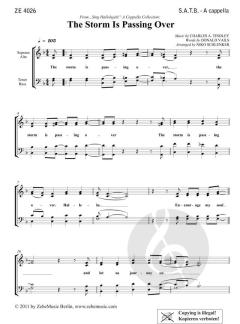 The Storm Is Passing Over (Niko Schlenker) 