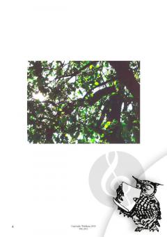 Klingende Bilder von Ursula Goldmann 