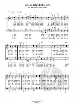 Nur für Männer 3 (Wilhelm H. Koch) 