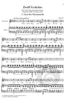 12 Gedichte op. 35 von Robert Schumann 