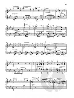 Am Klavier - Liszt von Franz Liszt im Alle Noten Shop kaufen