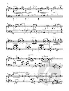 Am Klavier - Liszt von Franz Liszt im Alle Noten Shop kaufen