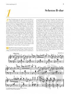 Am Klavier - Schubert von Franz Schubert im Alle Noten Shop kaufen