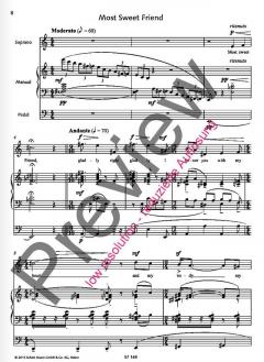 Our Lady's Minstrel von Naji Hakim 