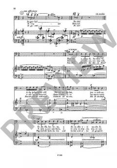 Schwanengesang von Jirí Pauer 