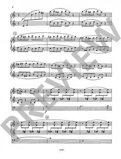 Sonata von Jiri Dvoracek 