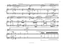 Soli von Francesco Maria Paradiso für Flöte/Bassflöte und Klavier im Alle Noten Shop kaufen